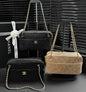 Chanel 2026 Camera Bag 24.5cm Suede Lambskin