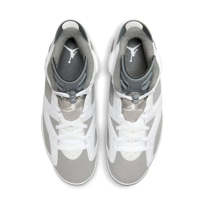 Air Jordan 6 'Cool Grey'