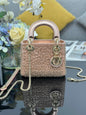 Dior 2026 Embroidered Beaded Bag 17cm Lambskin