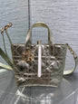 Dior 2026 Toujours Vertical Tote Bag 18cm Macrocannage Calfskin 286459