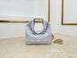 Dior 2026 Toujours Hobo Bag Lambskin