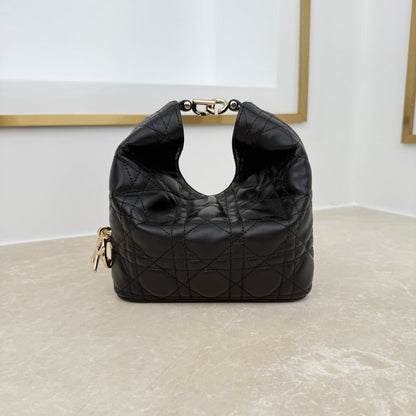 Dior 2026 Toujours Hobo Bag Lambskin